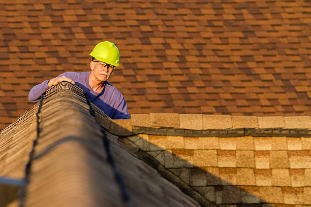Best Roof Repair Services  in Lennox, SD